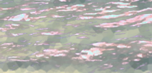 Video experiments with Poetry